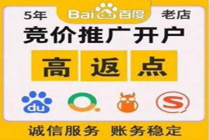 解析SEM竞价代运营公司的技术实力与服务优势
